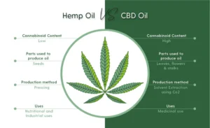 Is hemp oil the same as CBD oil