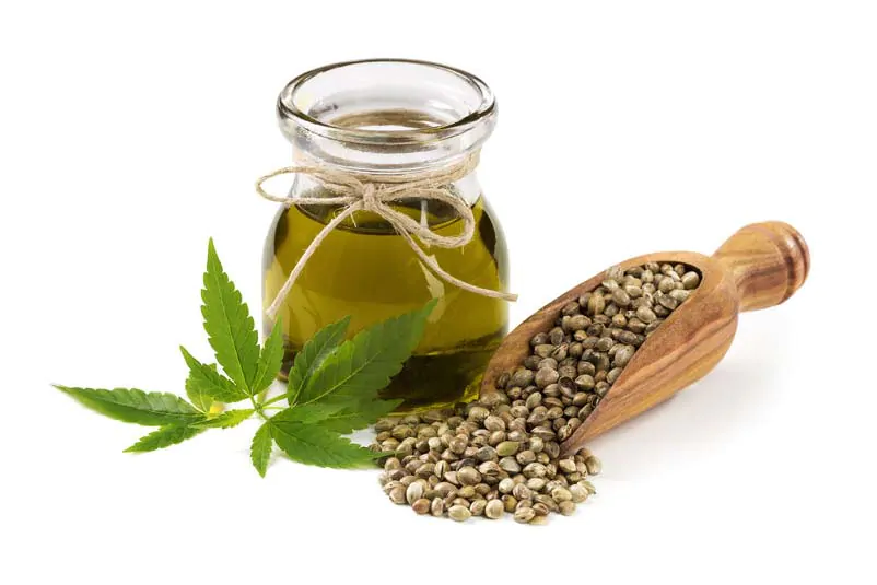 what is the best hemp seed oil in oregon